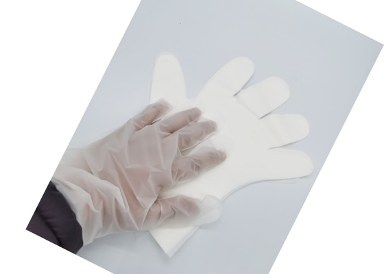 Ivory White Compostable Food Prep Gloves ASTM D6400 For Food Handling